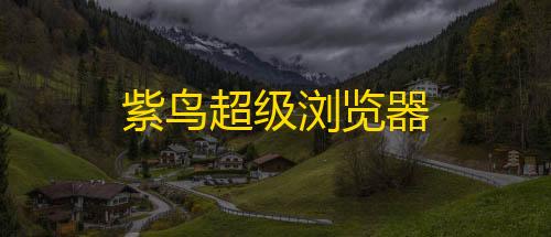 暗区突围辅助器(免费)紫鸟超级浏览器